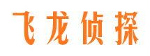 双鸭山市婚外情调查